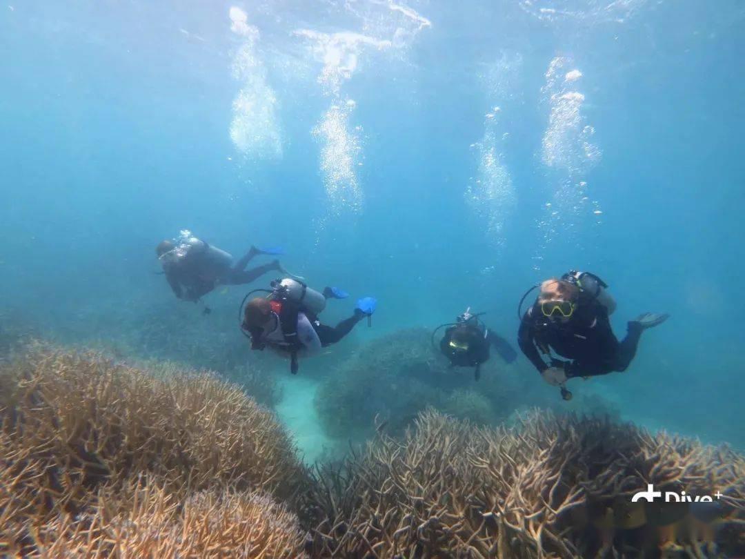 流浪27年，重庆男子找到家人，父女相见，流下幸福的泪水